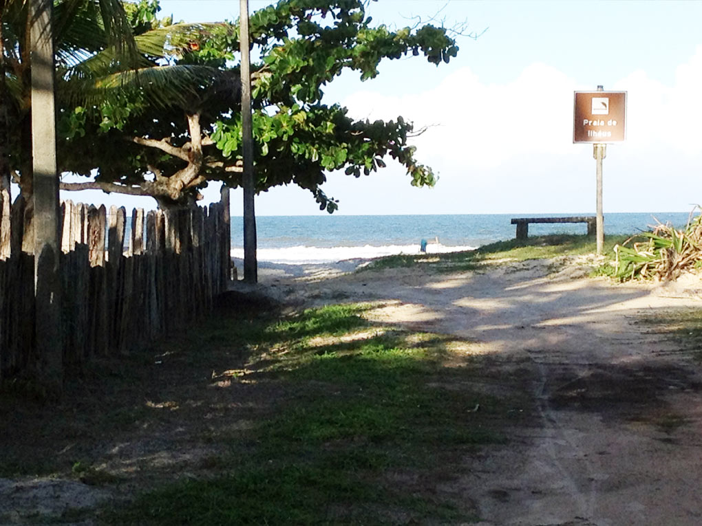 Trilha de areia entre a vegetação levando à praia