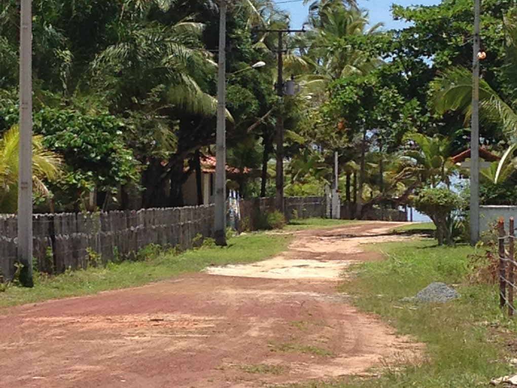Avenida de entrada do empreendimento com coqueiros e paisagismo