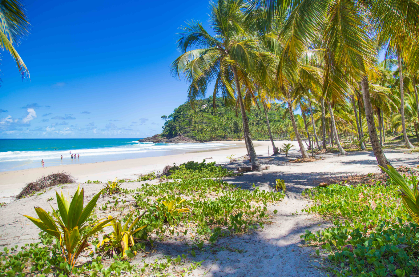 Praia de Itacaré com mar azul, coqueiros e vegetação nativa